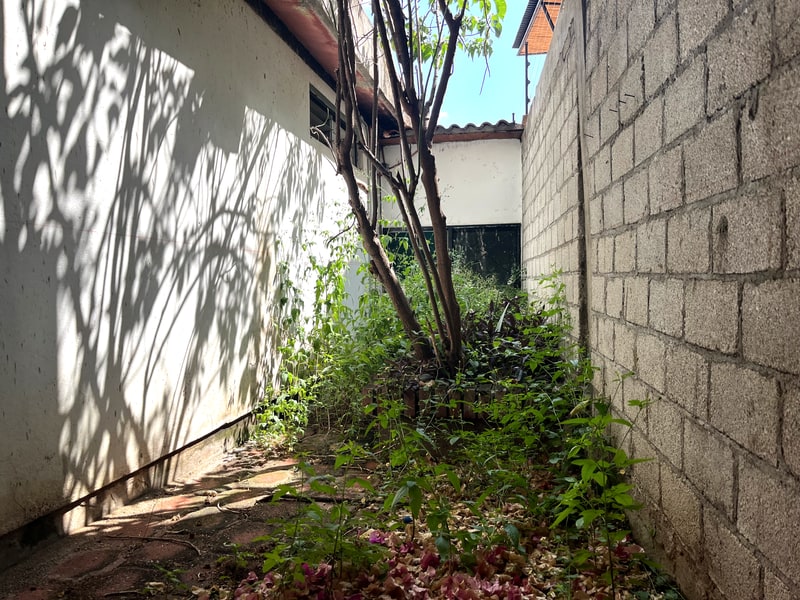 Back garden of a one story home for sale near the Oaxaca historic center