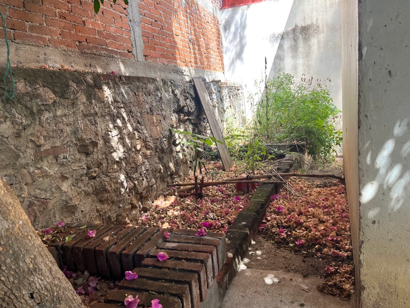 Rear garden on a 206 m2 lot, house for sale real estate in El Centro, Oaxaca de Juarez