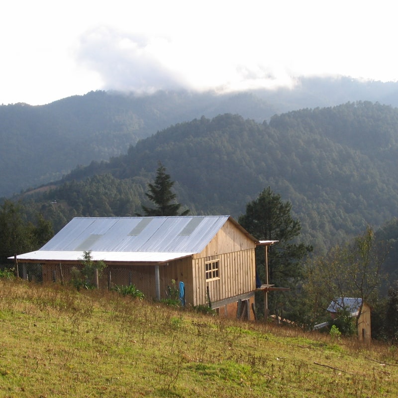 Wooden main house and guest house on a grassy hillside above pine forest ridges in San Mateo Río Hondo near San José del Pacífico, mountain property for sale real estate in Oaxaca, Mexico