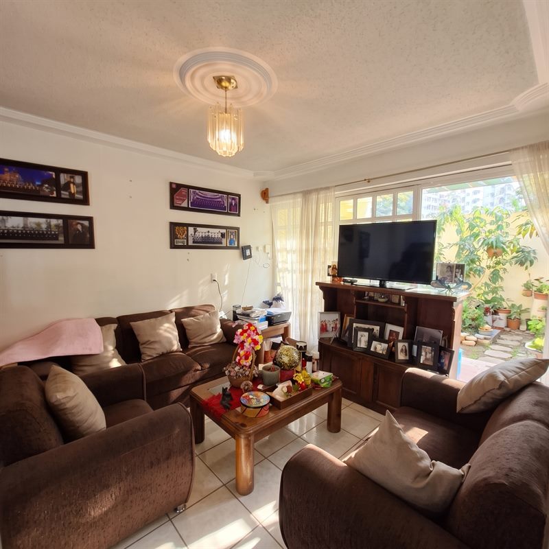 Bright living room with large window onto the garden and moulded ceiling medallion in a four bedroom Oaxaca house for sale