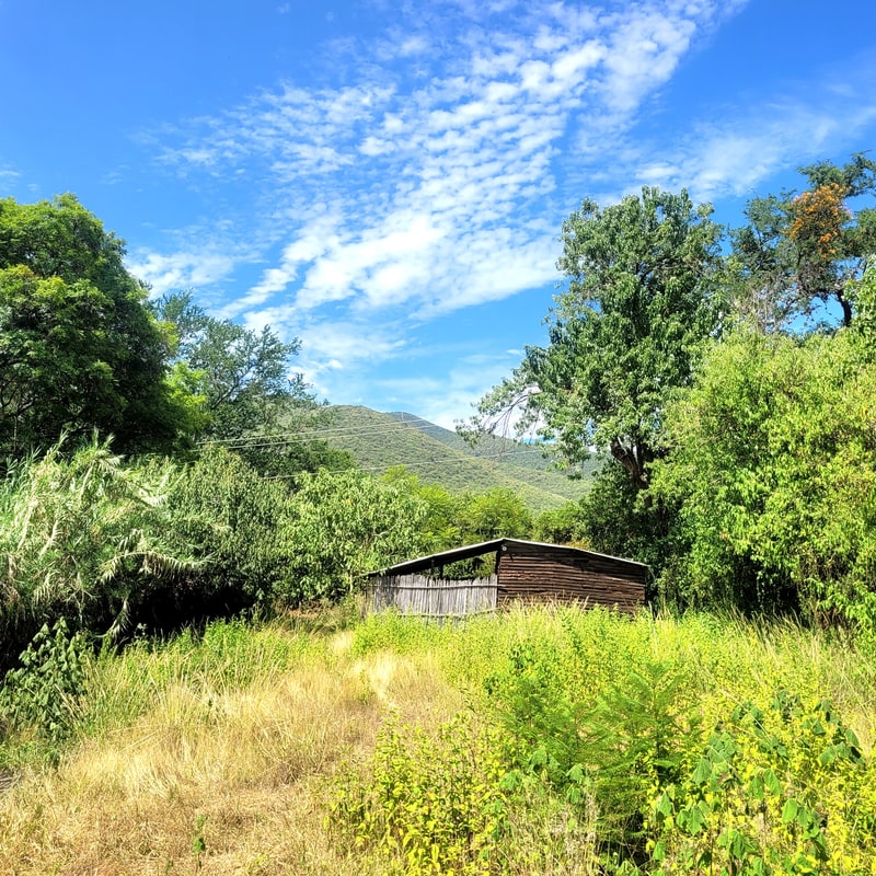 Tlalixtac de Cabrera land for sale 1800m2 level lot terreno en venta, green with abundant vegetation and mature trees