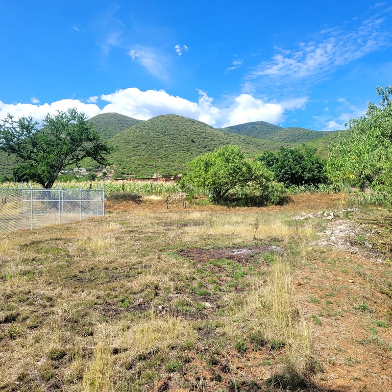 Tlalixtac de Cabrera land for sale 448m2 level development lot terreno en venta, views northwards towards the Sierra Norte mountains