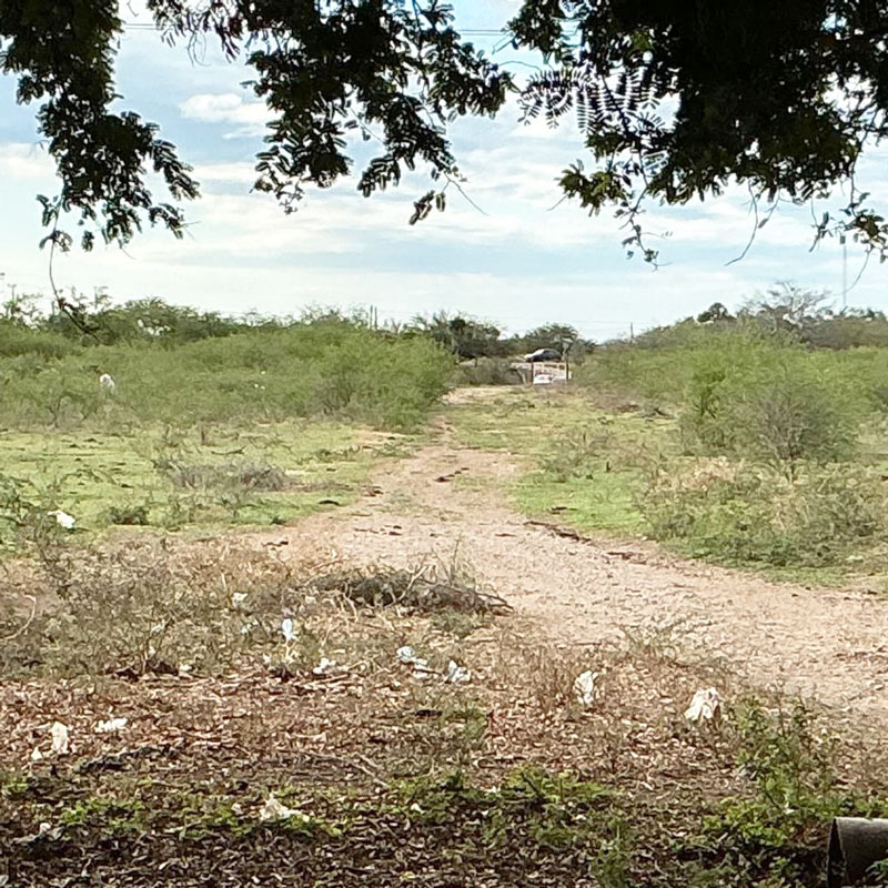 Flat farmland with farmhouse and well for sale terreno en venta in Juchitán de Zaragoza, Tehuantepec Oaxaca Istmo
